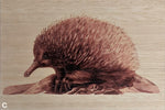Load image into Gallery viewer, Australian Animals
