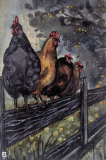 Load image into Gallery viewer, Chickens
