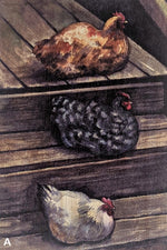 Load image into Gallery viewer, Chickens
