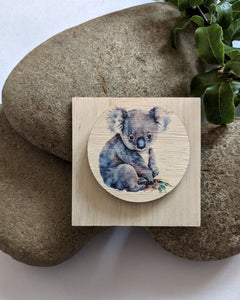 Koala brooch