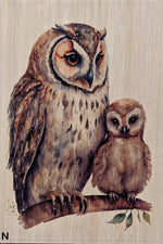 Load image into Gallery viewer, Owls
