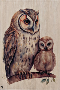 Owls