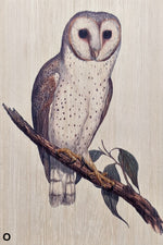 Load image into Gallery viewer, Owls
