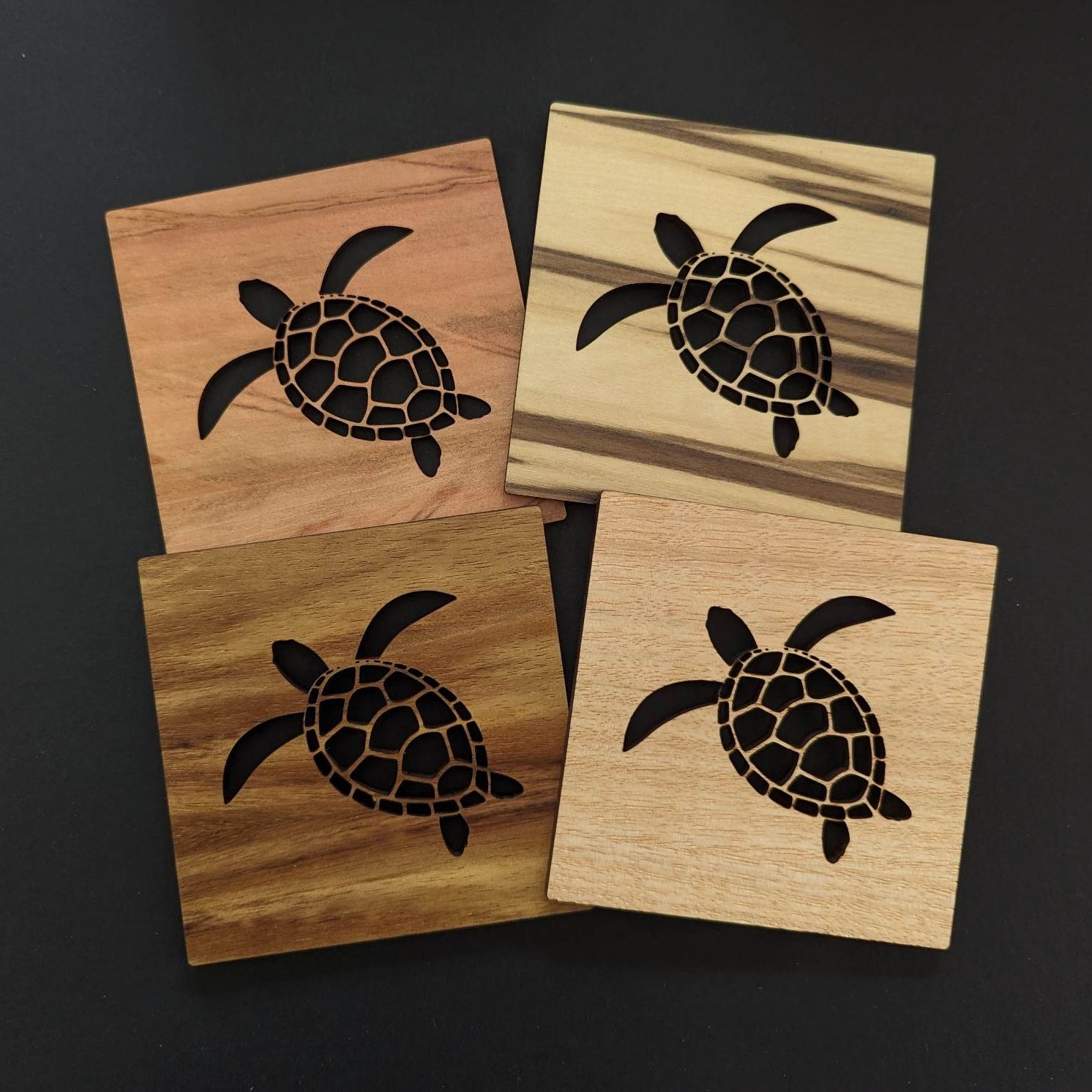 Turtle Coasters